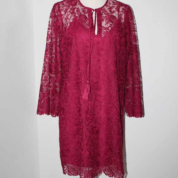 NWT Johnny Was Biya 3J Workshop JWLA 2 Piece Harper Lace Mini Dress M - Picture 2 of 8